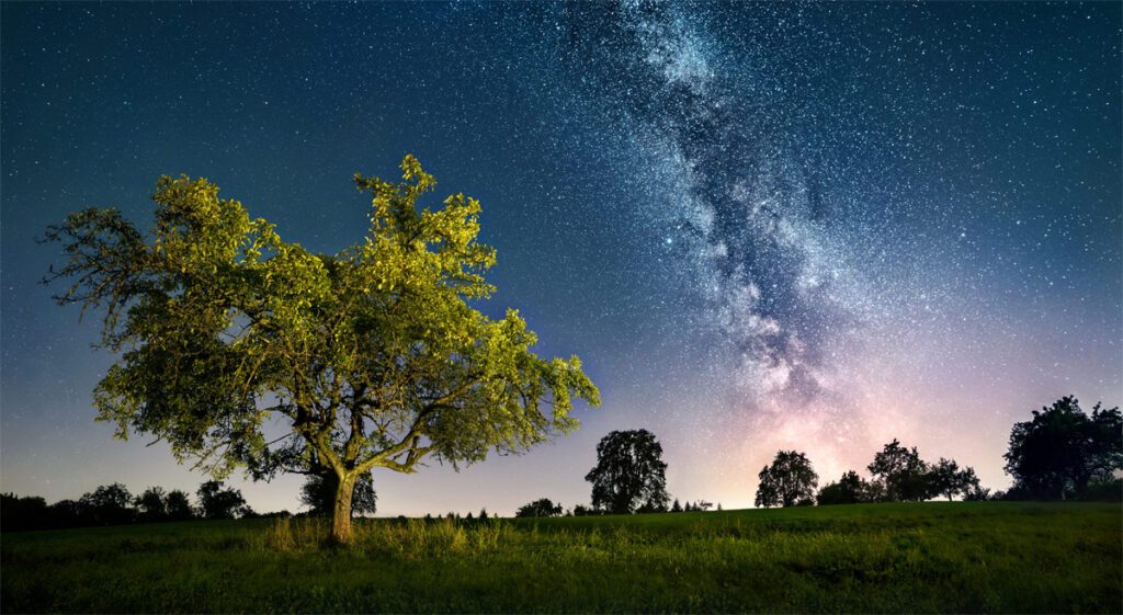 Beleuchteter Baum mit Milchstrasse am Himmel.